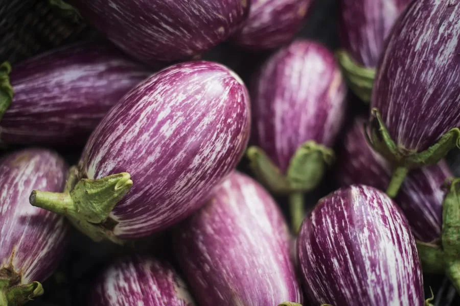 Everything you wanted to know about aubergines