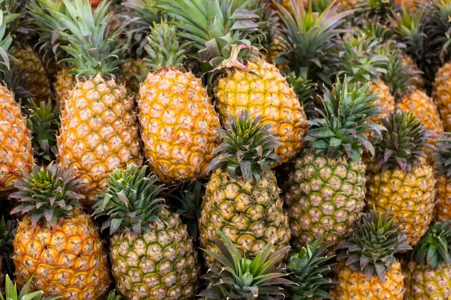 Everything you've always wanted to know about pineapples
